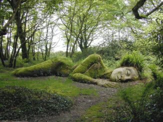 The lost gardens of Heligan