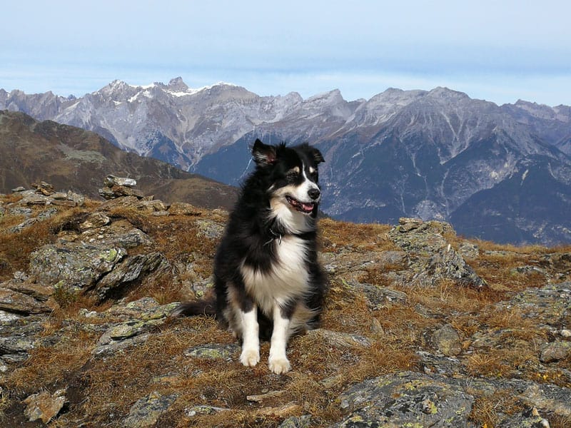 Serfaus Fiss ©Detlef Düring 13