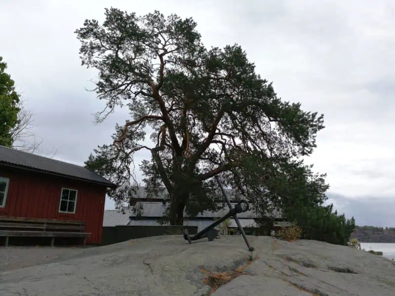 Stockholm ©Detlef Düring 34