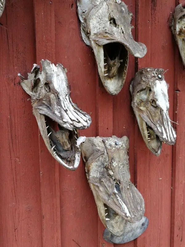 Stockholm ©Detlef Düring 35