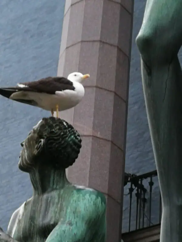 Stockholm ©Detlef Düring 37