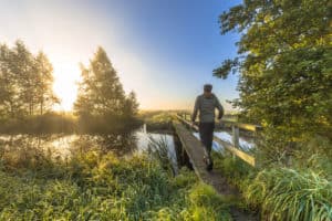 Nationalpark Drentse