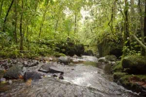 Sao Tome im Landesinneren
