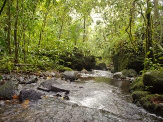 STP Sao Tome im Landesinneren
