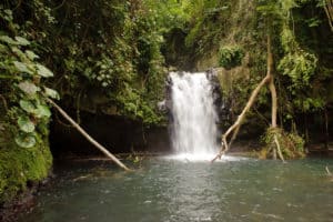 Sao Tome Wasserfall Bombaím