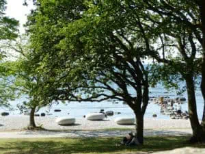 Visby HANSA ©Detlef Duering 072