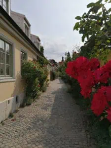 Visby-HANSA-©Detlef-Duering-165