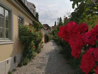 Visby HANSA ©Detlef Duering 165