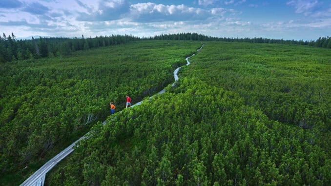 Beinahe unberührte Natur um die Seen von Lovrenc ©www.slovenia.info Tomo Jeseničnik