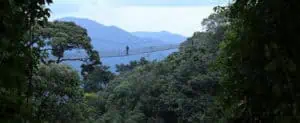 In den Bergen von Ruanda