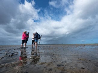 Weltnaturerbe Wangerooge
