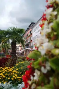 Der üppige Blumenschmuck und die vielen Palmen verleihen Lienz ein südliches Flair ©TVB Osttirol