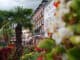 Der üppige Blumenschmuck und die vielen Palmen verleihen Lienz ein südliches Flair ©TVB Osttirol