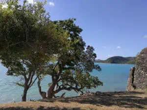 Antigua ©Detlef Duering 037