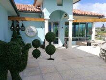 Barbados-©Detlef-Duering-102 Barbados ©Detlef Duering 102