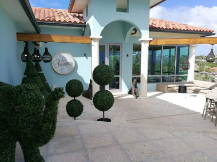 Barbados ©Detlef Duering 102