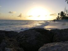 Barbados ©Detlef Duering 122