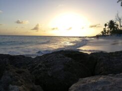 Barbados-©Detlef-Duering-122 Barbados ©Detlef Duering 122