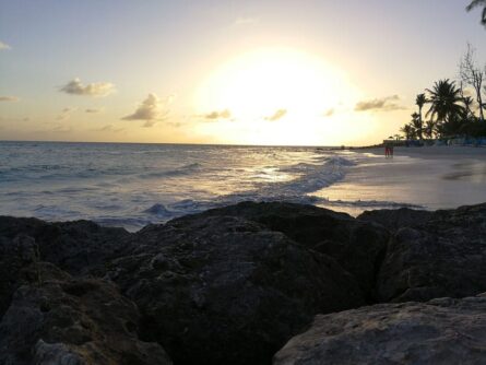 Barbados ©Detlef Duering 122