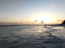 Barbados ©Detlef Duering 124
