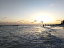 Barbados-©Detlef-Duering-124 Barbados ©Detlef Duering 124