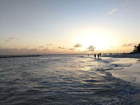 Barbados ©Detlef Duering 124