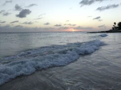 Barbados-©Detlef-Duering-125 Barbados ©Detlef Duering 125