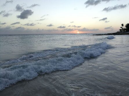 Barbados-©Detlef-Duering-125 Barbados ©Detlef Duering 125