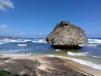 Barbados ©Detlef Duering 129
