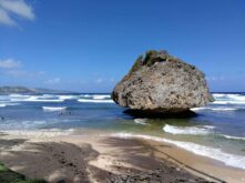 Barbados ©Detlef Duering 129