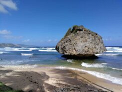Barbados ©Detlef Duering 129