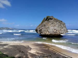 Barbados ©Detlef Duering 129