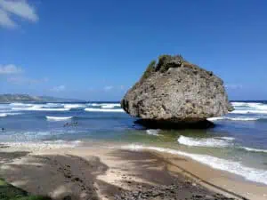 Barbados ©Detlef Duering 129