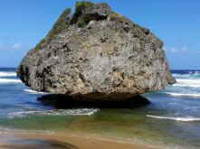 Barbados ©Detlef Duering 130