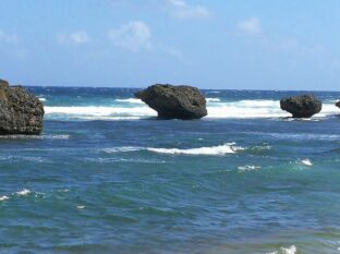 Barbados ©Detlef Duering 131