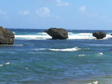 Barbados ©Detlef Duering 131