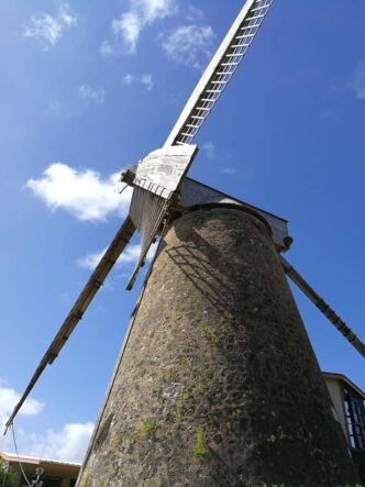 Barbados-©Detlef-Duering-133 Barbados ©Detlef Duering 133