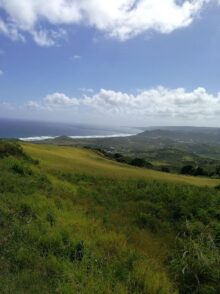 Barbados ©Detlef Duering 134
