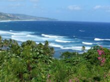 Barbados-©Detlef-Duering-140 Barbados ©Detlef Duering 140