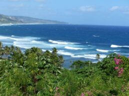 Barbados ©Detlef Duering 140