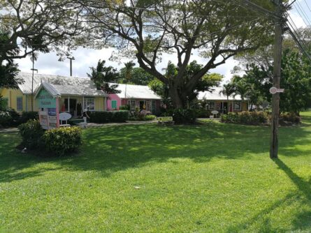 Barbados-©Detlef-Duering-144 Barbados ©Detlef Duering 144