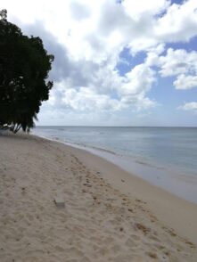 Barbados ©Detlef Duering 147