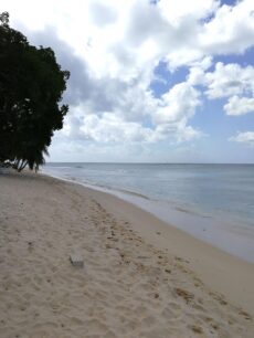 Barbados ©Detlef Duering 147