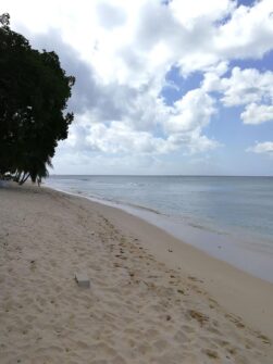 Barbados ©Detlef Duering 147