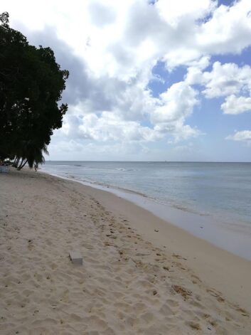 Barbados ©Detlef Duering 147