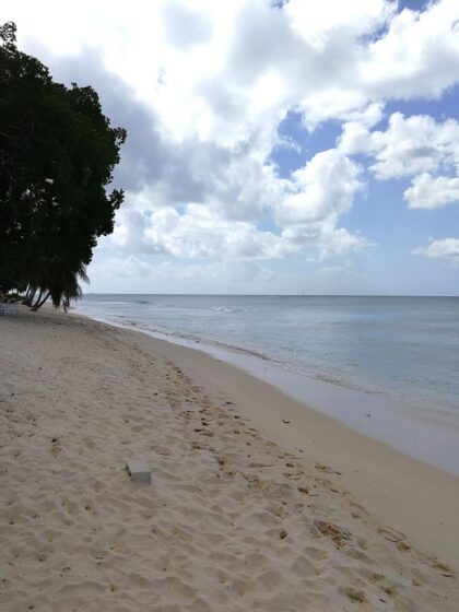 Barbados-©Detlef-Duering-147 Barbados ©Detlef Duering 147