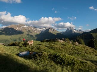 Berggeistweg nahe St Anton am Arlberg ©TVB St. Anton am Arlberg Bernd Ritschel