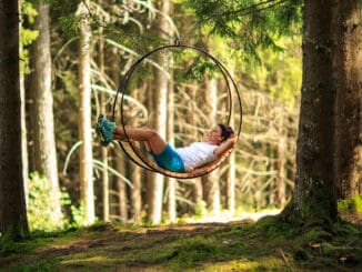 Neue Perspektiven von der Waldschaukel ©Florian Lechner