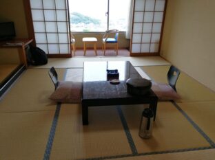 113 Japan ©Detlef Duering