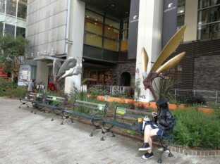 Osaka ©Detlef Duering 39